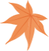 maple_1