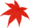 maple_2