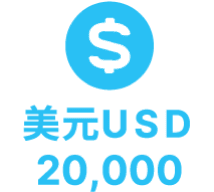 美元USD 20,000