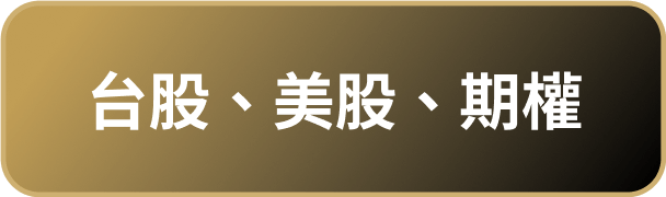 台股 美股 期權